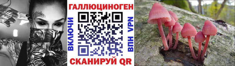 Купить  Дигора  Псилоцибиновые грибы прущие грибы 